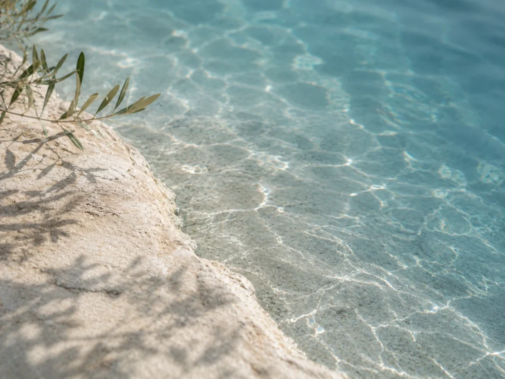 Smooth stones, olive leaves, and sunlit clear water